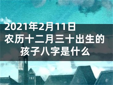 2021年2月11日农历十二月三十出生的孩子八字是什么