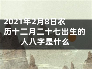 2021年2月8日农历十二月二十七出生的人八字是什么