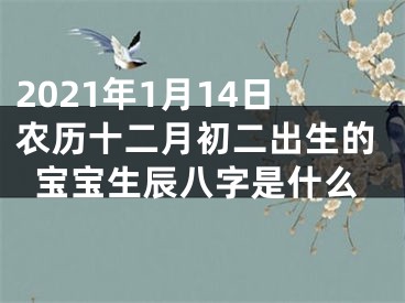 2021年1月14日农历十二月初二出生的宝宝生辰八字是什么