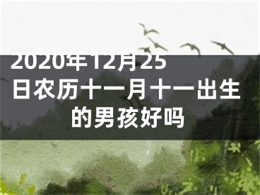 2020年12月25日农历十一月十一出生的男孩好吗