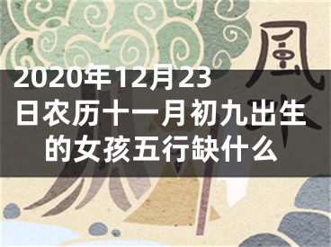 2020年12月23日农历十一月初九出生的女孩五行缺什么