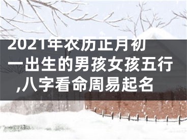 2021年农历正月初一出生的男孩女孩五行,八字看命周易起名