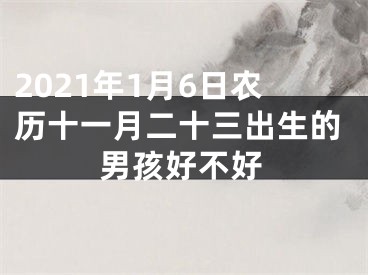 2021年1月6日农历十一月二十三出生的男孩好不好