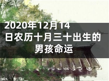 2020年12月14日农历十月三十出生的男孩命运