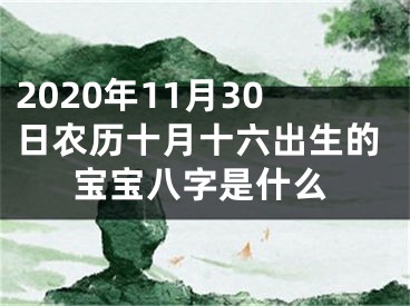 2020年11月30日农历十月十六出生的宝宝八字是什么