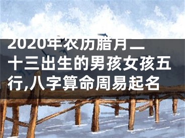 2020年农历腊月二十三出生的男孩女孩五行,八字算命周易起名