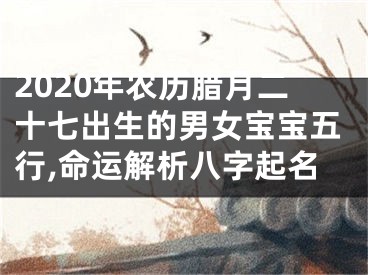 2020年农历腊月二十七出生的男女宝宝五行,命运解析八字起名