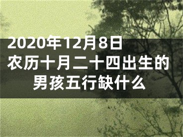 2020年12月8日农历十月二十四出生的男孩五行缺什么