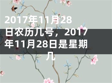 2017年11月28日农历几号，2017年11月28日是星期几 