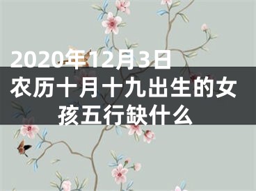 2020年12月3日农历十月十九出生的女孩五行缺什么