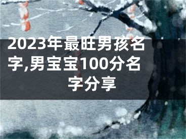 2023年最旺男孩名字,男宝宝100分名字分享