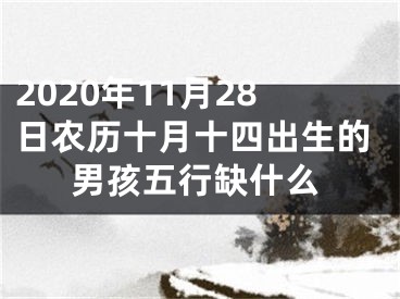 2020年11月28日农历十月十四出生的男孩五行缺什么