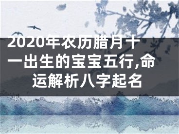 2020年农历腊月十一出生的宝宝五行,命运解析八字起名