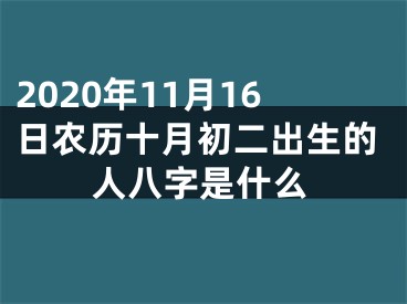 2020年11月16日农历十月初二出生的人八字是什么