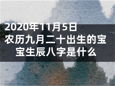 2020年11月5日农历九月二十出生的宝宝生辰八字是什么