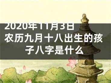 2020年11月3日农历九月十八出生的孩子八字是什么