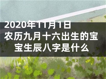 2020年11月1日农历九月十六出生的宝宝生辰八字是什么