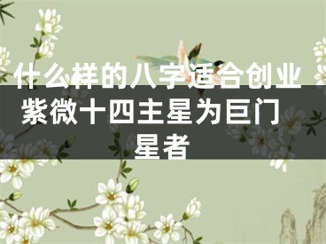 什么样的八字适合创业 紫微十四主星为巨门星者