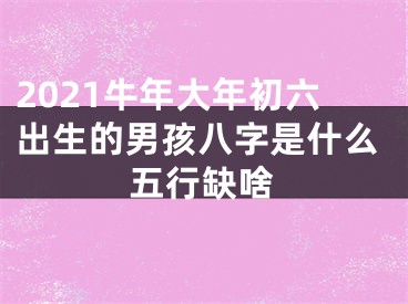 2021牛年大年初六出生的男孩八字是什么五行缺啥