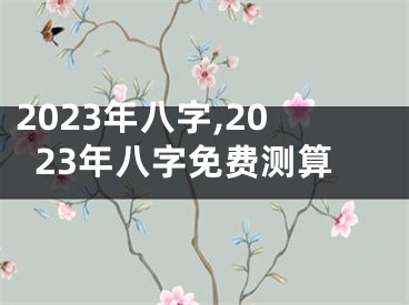 2023年八字,2023年八字免费测算