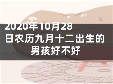 2020年10月28日农历九月十二出生的男孩好不好