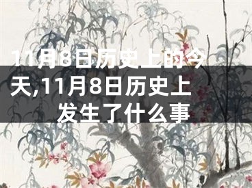 11月8日历史上的今天,11月8日历史上发生了什么事