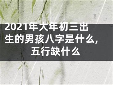 2021年大年初三出生的男孩八字是什么,五行缺什么