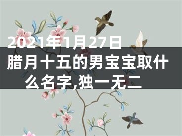 2021年1月27日腊月十五的男宝宝取什么名字,独一无二