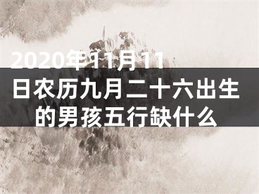 2020年11月11日农历九月二十六出生的男孩五行缺什么