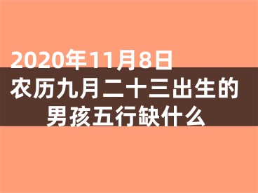 2020年11月8日农历九月二十三出生的男孩五行缺什么