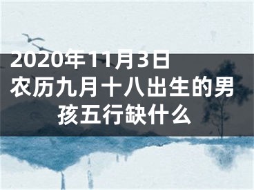 2020年11月3日农历九月十八出生的男孩五行缺什么