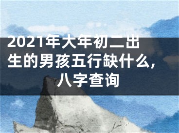 2021年大年初二出生的男孩五行缺什么,八字查询