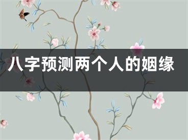 八字预测两个人的姻缘