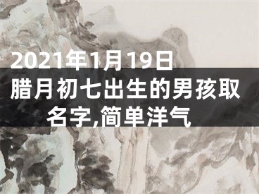 2021年1月19日腊月初七出生的男孩取名字,简单洋气