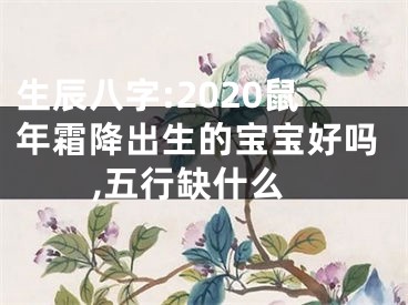 生辰八字:2020鼠年霜降出生的宝宝好吗,五行缺什么