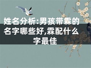 姓名分析:男孩带霖的名字哪些好,霖配什么字最佳