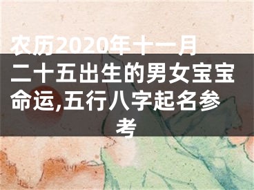 农历2020年十一月二十五出生的男女宝宝命运,五行八字起名参考