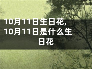 10月11日生日花,10月11日是什么生日花