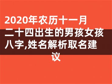 2020年农历十一月二十四出生的男孩女孩八字,姓名解析取名建议