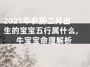 2021年农历二月出生的宝宝五行属什么,牛宝宝命理解析