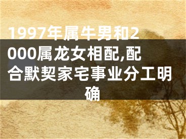 1997年属牛男和2000属龙女相配,配合默契家宅事业分工明确