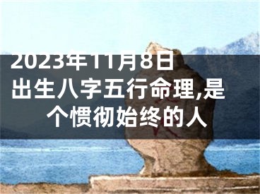 2023年11月8日出生八字五行命理,是个惯彻始终的人