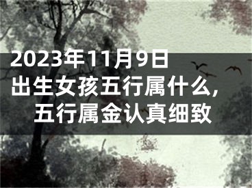 2023年11月9日出生女孩五行属什么,五行属金认真细致