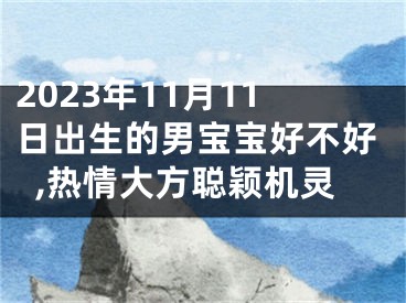 2023年11月11日出生的男宝宝好不好,热情大方聪颖机灵