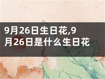 9月26日生日花,9月26日是什么生日花