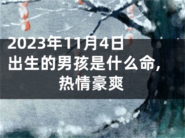 2023年11月4日出生的男孩是什么命,热情豪爽