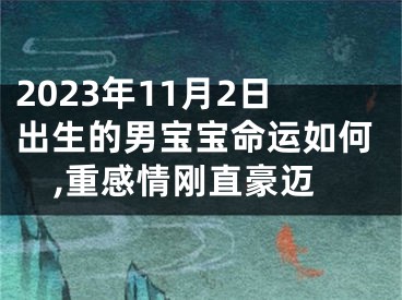 2023年11月2日出生的男宝宝命运如何,重感情刚直豪迈