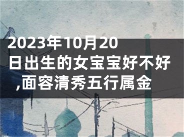 2023年10月20日出生的女宝宝好不好,面容清秀五行属金