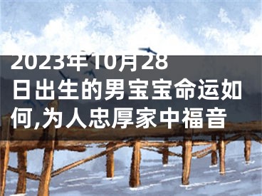 2023年10月28日出生的男宝宝命运如何,为人忠厚家中福音