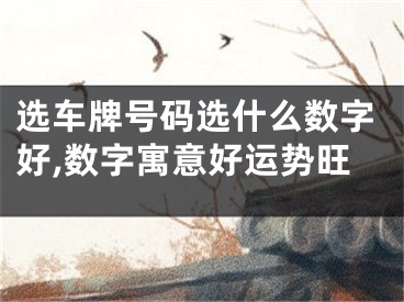 选车牌号码选什么数字好,数字寓意好运势旺